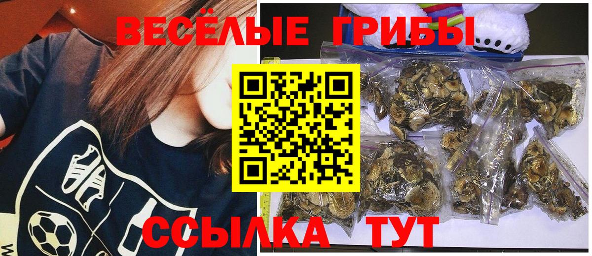 Псилоцибиновые грибы Magic Shrooms Ялуторовск